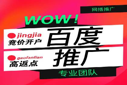 案例解析：竞价代运营如何实现高效广告投放